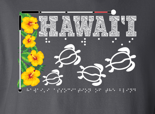 Hawaii Sweatshirt Blanket - Charcoal Grey